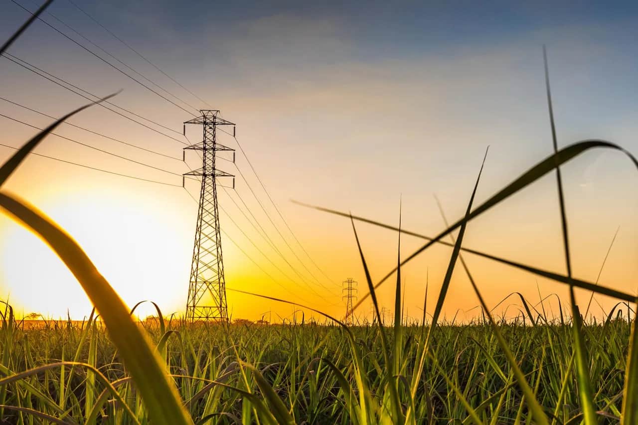 Komu przysługuje tańszy prąd? Sprawdź, czy się kwalifikujesz
