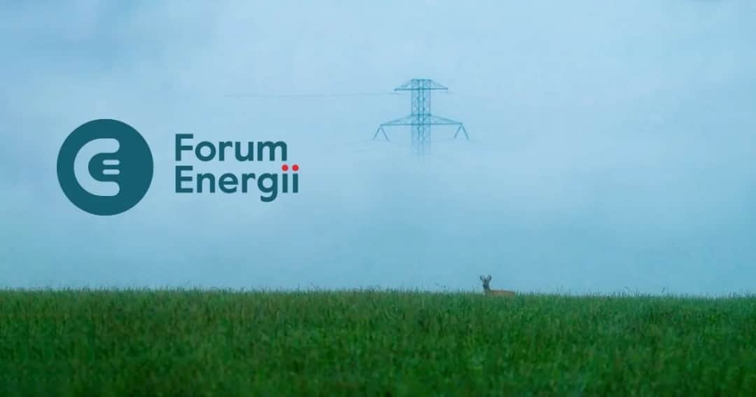 Ile prądu zużywa Polska? Zaskakujące statystyki i trendy energii